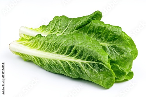 A close up view of fresh romaine lettuce heads isolated on white background