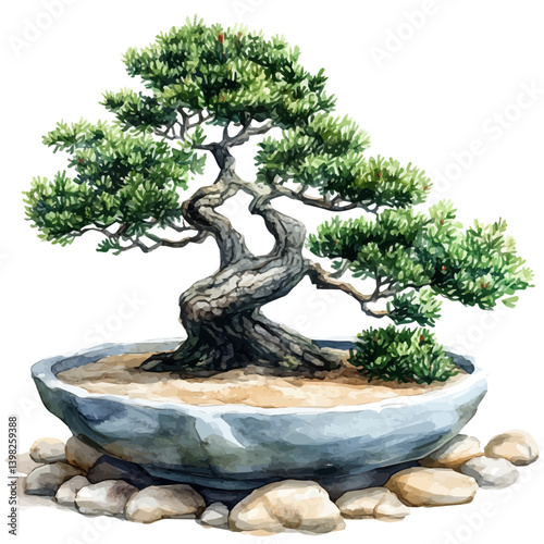 Juniper Bonsai, watercolor illustration, isolated on a white background.


