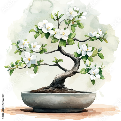 Jasmine Bonsai, watercolor illustration, isolated on a white background.

