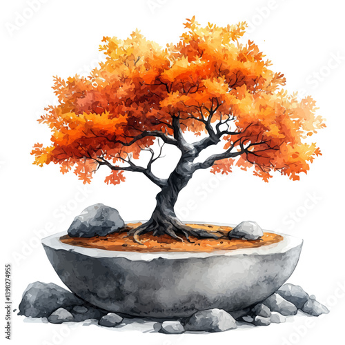 Japanese Maple Bonsai, watercolor illustration, isolated on a white background.

