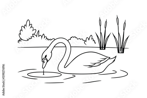 Elegant Swan Swimming In A Pond Black And White Outline Illustration