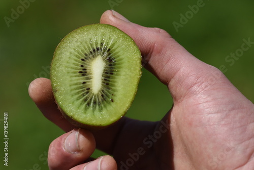 kiwi cut in half macro 