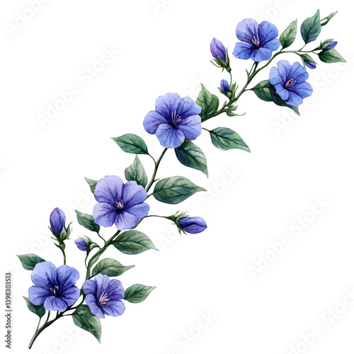 Ipomoea branch, watercolor illustration, isolated on a white background.

