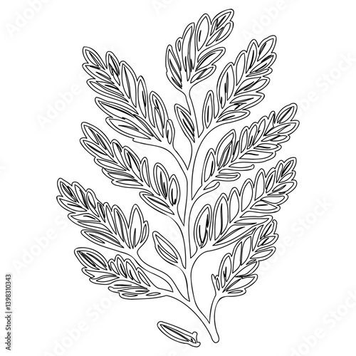 Elegant fern frond illustration featuring thin lines against white background