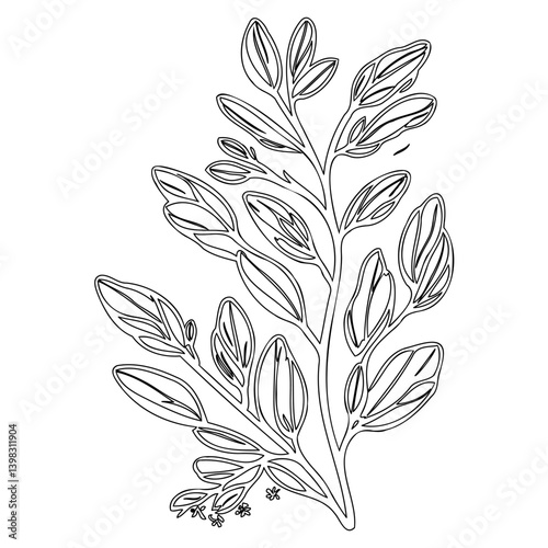 Elegant botanical sketch: A minimalist representation of nature's beauty and simplicity