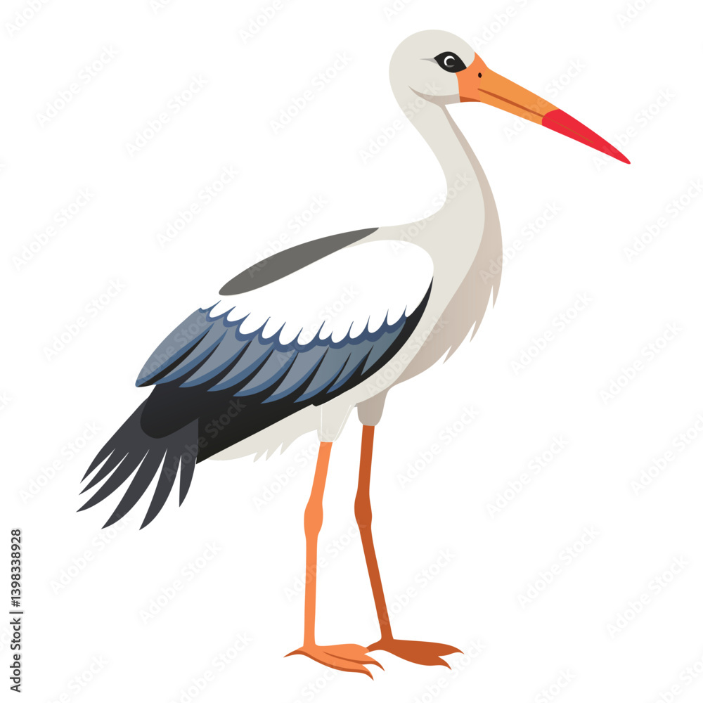 Obraz premium Stork isolated on white background 