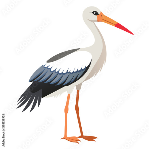 Stork isolated on white background 