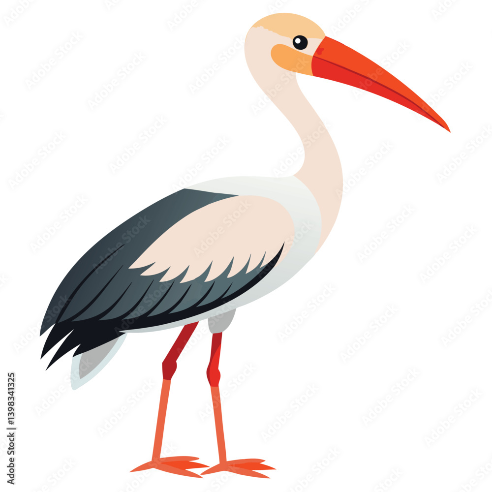 Obraz premium Stork isolated on white background 