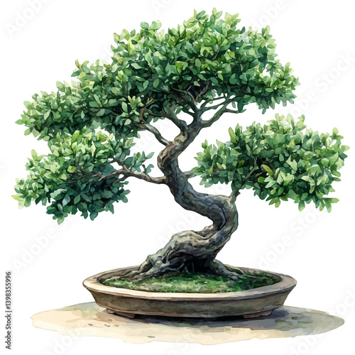 Hornbeam Bonsai, watercolor vector, isolated on a white background.