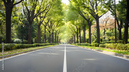 Empty Road Lined With Trees In Park