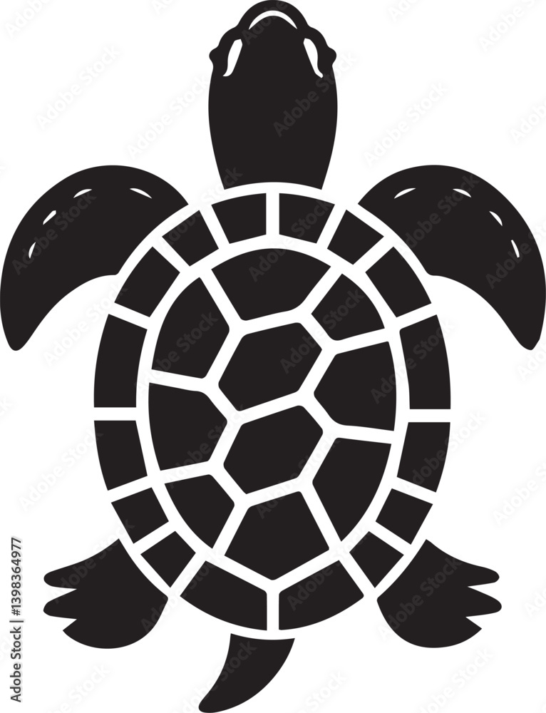 Obraz premium Realistic Turtle Isolated on White Background