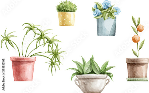 Set with vintage various colorful home indoor flowers in pots isolated on white background. Watercolor hand drawn illustration sketch vector