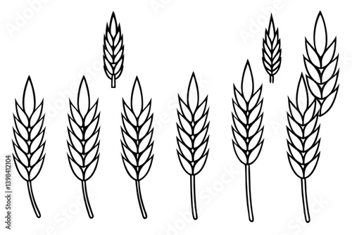 Oat Ear and Grain Cultivating Earth's Bountiful Gifts