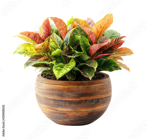 Obraz na płótnie Vibrant plant display home decorative greenery cozy atmosphere nature inspiration. Isolated on transparent background, png. w salonie