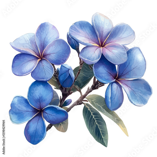 Plumeria branch, watercolor illustration, isolated on a white background.


