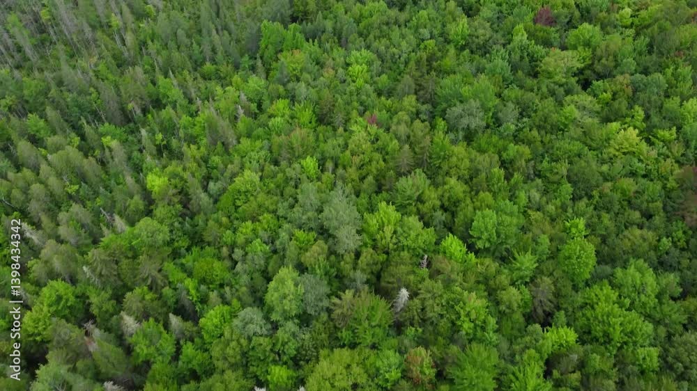 Remote Pond surrounded by the lush Green Mountains of Vermont. 4k Aerial Cinematic Video. Remote Pond surrounded by the lush Green Mountains of Vermont. 4k Aerial Cinematic Video.