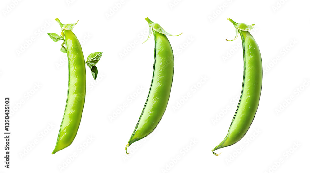 Pack of Sugar Snap Peas Set Against Transparent Background for Food or Culinary Projects Pack of Sugar Snap Peas Set Against Transparent Background for Food or Culinary Projects