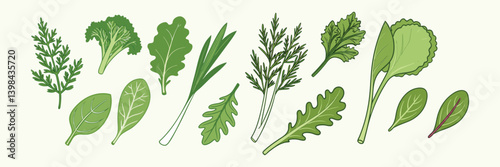 Fresh Green Leafy Vegetables Herbs Collection for Healthy Food Perfect for Salads and Recipes