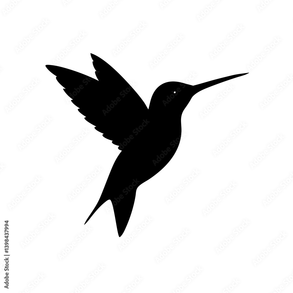 Obraz premium hummingbird vector illustration