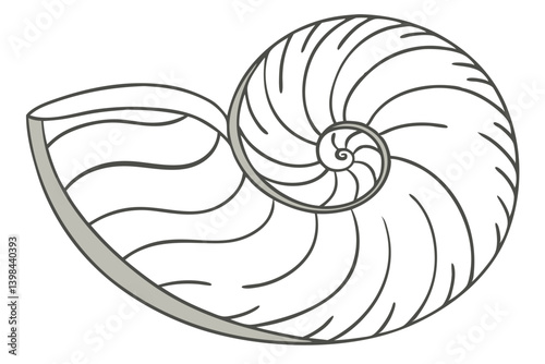 Nautilus Shell Spiral Vector Illustration for Art Projects and Coloring Books