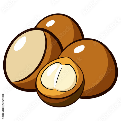 Vector Illustration Brown Macadamia Nuts Whole and Halved for Organic Food Packaging Design