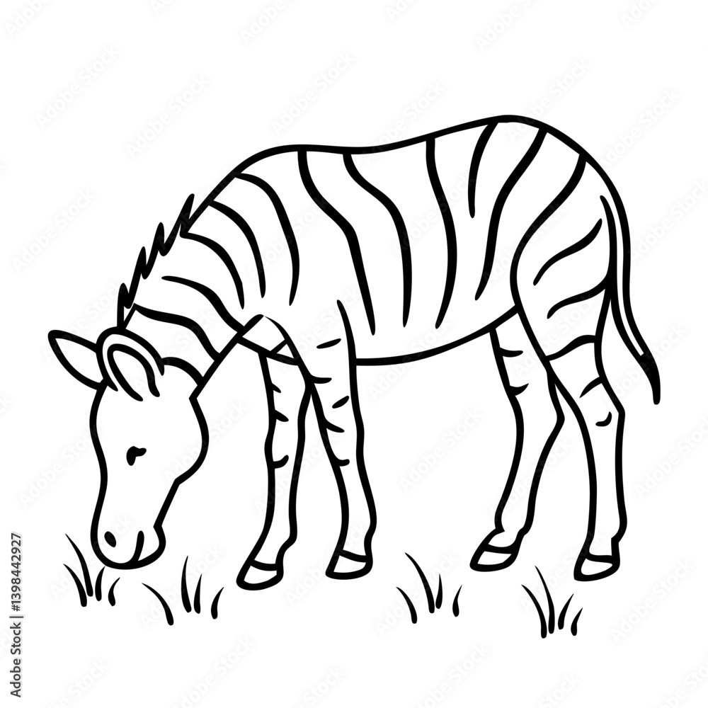 Fototapeta premium Vector Illustration of a Grazing Zebra for Coloring Books or Educational Materials