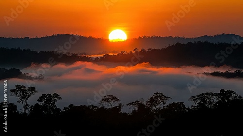 Sunrise over Misty Rainforest Mountains