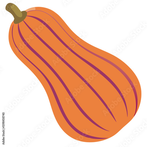 Vibrant Orange Squash Vector Illustration for Creative Projects and Designs