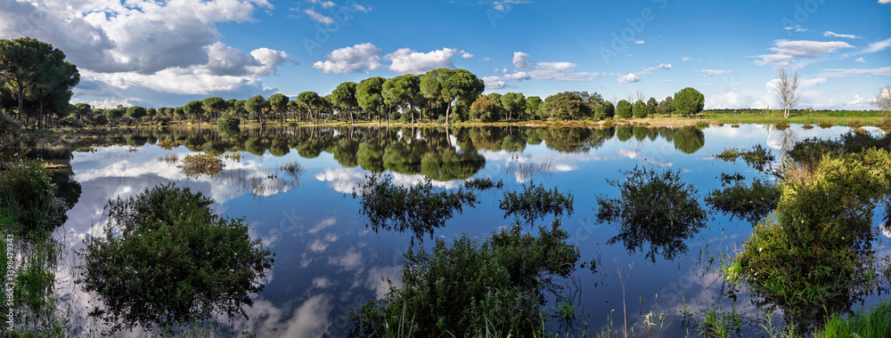 San Lazaro Lagoon reflects nature's beauty in Doñana, Andalusia San Lazaro Lagoon reflects nature's beauty in Doñana, Andalusia