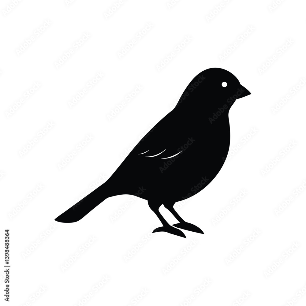 Obraz premium canary silhouette art