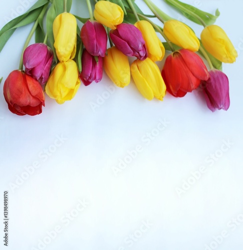 A spring bouquet of tulips. Red, yellow and pink tulips on a white background. Background for congratulations.