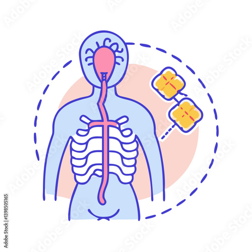  Anatomy of Autonomic Nervous System