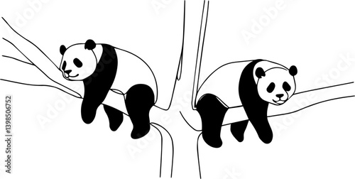 Two panda resting on tree branches on transparent background. Line drawing illustration