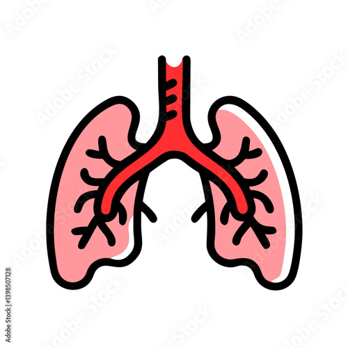  Detailed Bronchi Anatomy