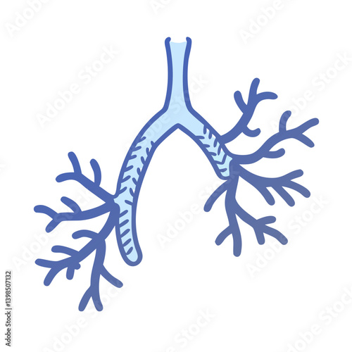  Bronchi Medical Anatomy Icon