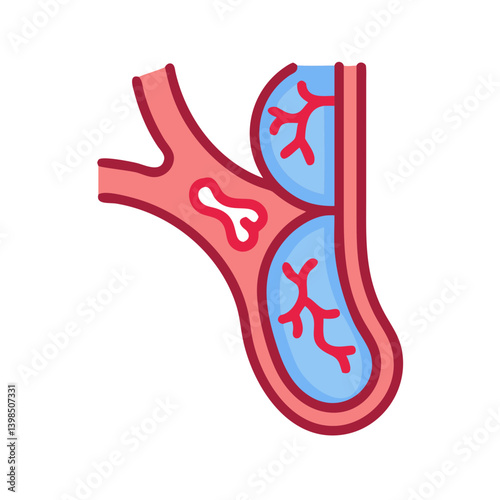  Detailed Capillaries Anatomy