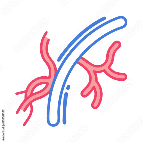  Capillaries Anatomy Icon Design