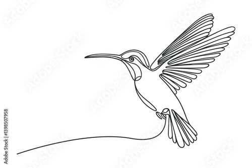 Continuous one line drawing of colibri. Humming bird. vector illustration.