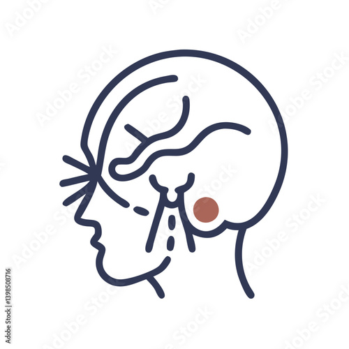  Detailed Cranial Nerves Anatomy
