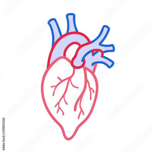  Inferior Vena Cava Anatomy Icon