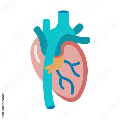  Innovative Inferior Vena Cava Design