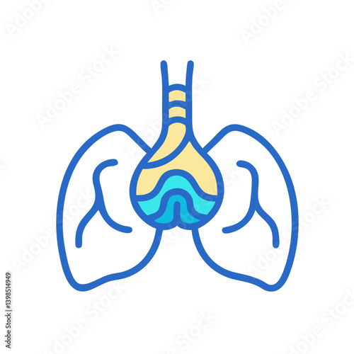  Mediastinum Anatomy Vector Design