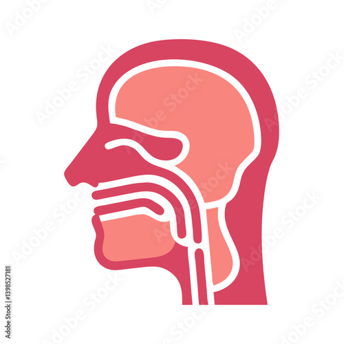  Pharynx Anatomy Vector Design