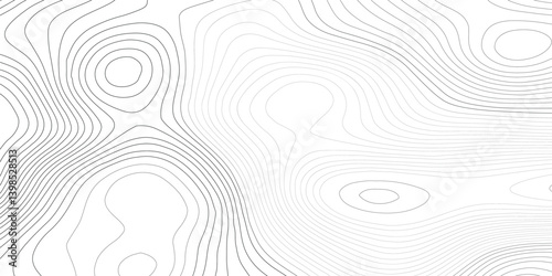 Abstract topography a seamless flow of organic topographic map the concept of a conditional geography scheme and the terrain path topo contour map design.