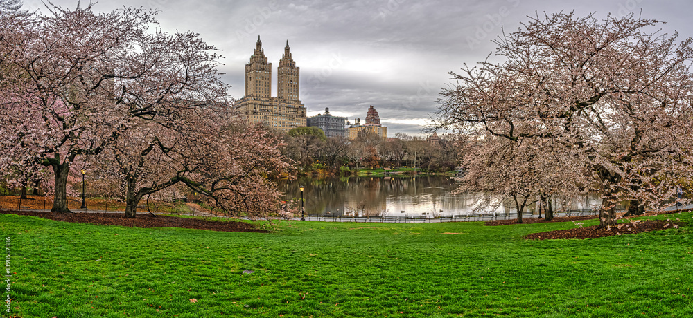 Central Park, New York City at the lake