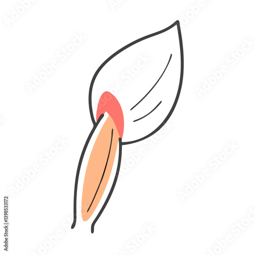  Detailed Triceps Brachii Anatomy