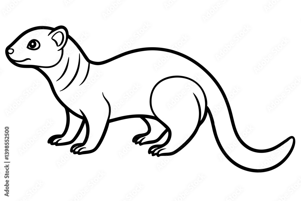 Sleek Mongoose Vector Outline Sleek Mongoose Vector Outline