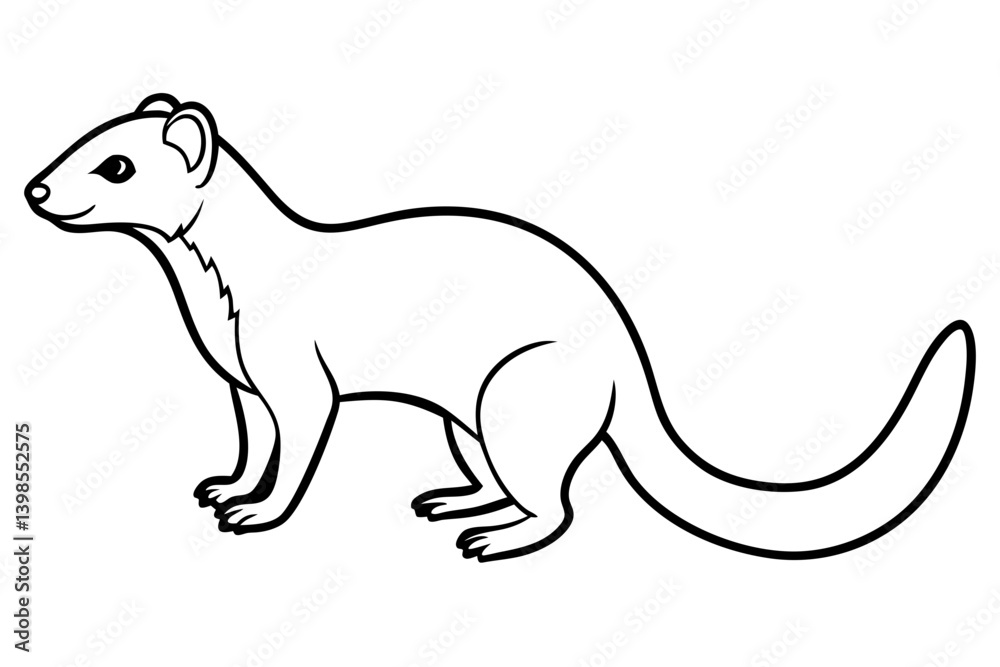 Sleek Mongoose Vector Outline Sleek Mongoose Vector Outline