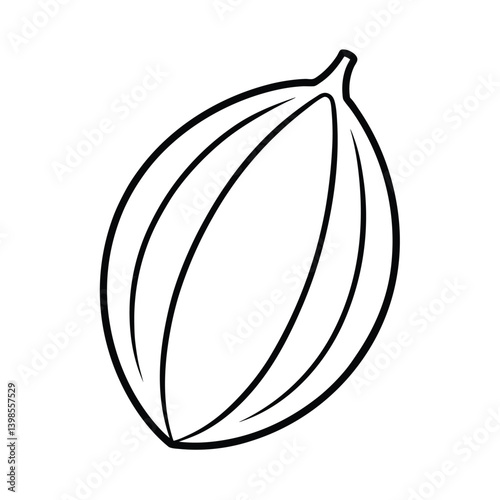tropical almond fruit line art vector illustration