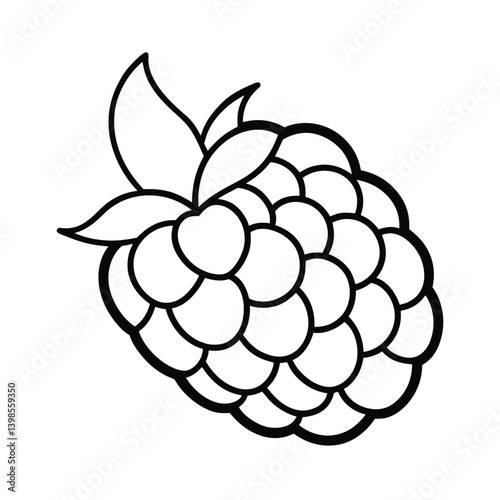 tayberry fruit line art vector illustration